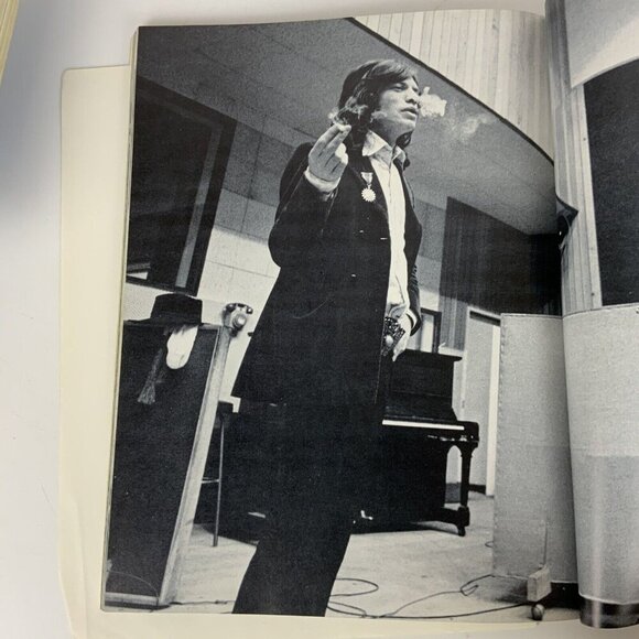 The Rolling Stones Paperback By Robert Palmer Vintage 1983 Rolling Stone Press - Picture 14 of 15